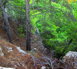 Sulahikulle - Vergessene Stadt