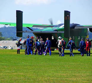 Die Springer gute 20 passen rein