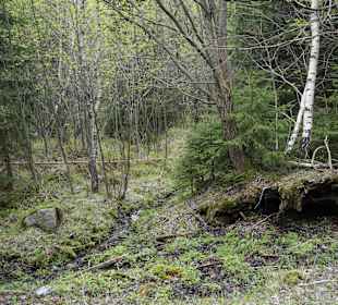 Berg Schneekoppe/Śnieżka