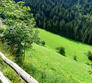 Abwechslung 