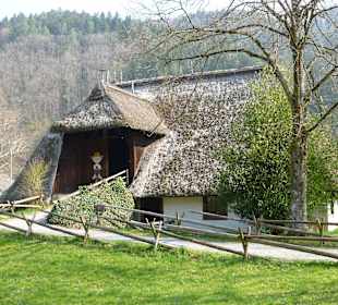 Stadtrundgang Hausach (Schwarzwald)