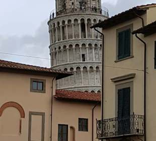 Pisa