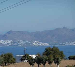 Ausblick von der Terrasse