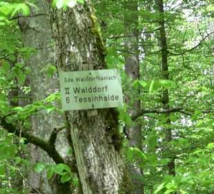 Wandertour Feuchtgebiet Schönbuch