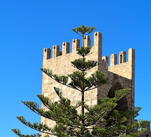 Porta del Moll
