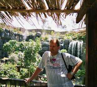 Dschungel im Palma Aquarium