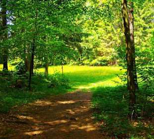 Wanderung zum Bärenfels