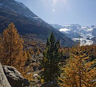 Engadiner Herbst am Morteratsch Gletscher