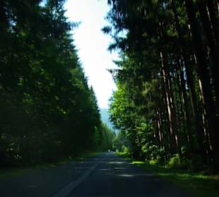 Schatten und Lichtspiele