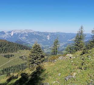 Wandern Alpbach