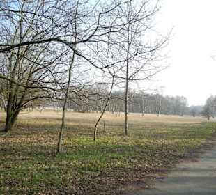 Wunderschöne Boberger Niederung