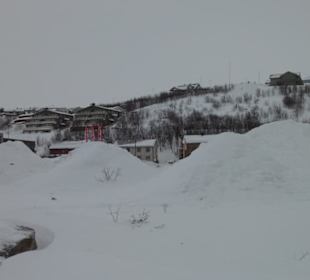 Hier ist der Winter zu Hause