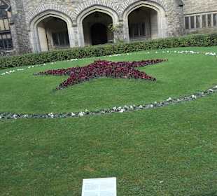 Zamówiona Stalinem gwiazda