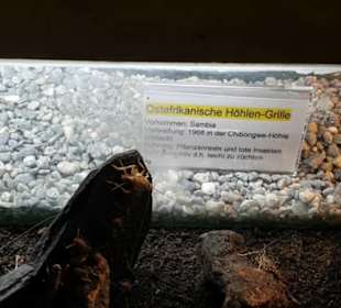 Exotarium