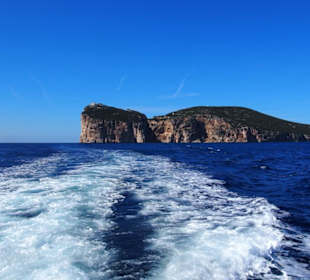 Blick auf Capo Caccia