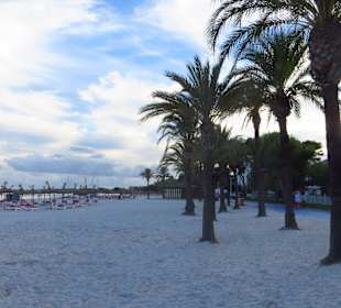 Strand von Port d` Alcudia