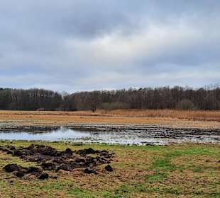 Wandern Templin