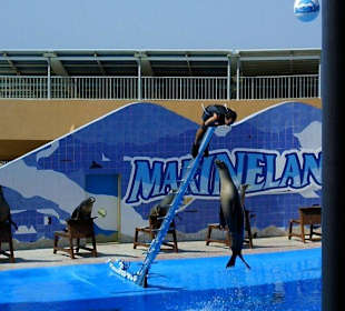 Marineland