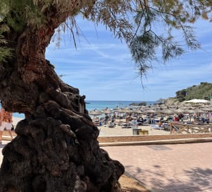Promenade