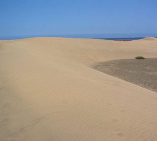 Dünen in Maspalomas bei Meloneras