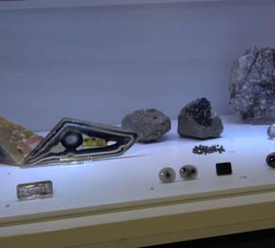 Museum für Naturkunde