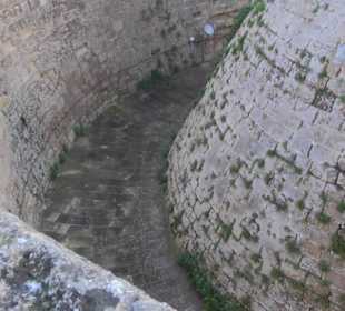 Torre de l’Homenatge