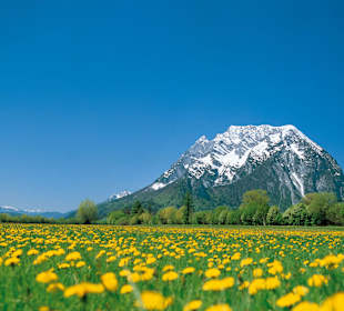 Der mächtige Grimming im Sommer