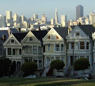 Painted Ladies
