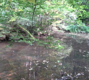 Hummelklingensee Walddorf