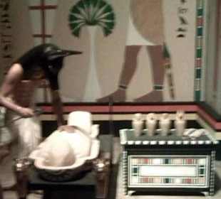 Gondwana - Das Praehistorium