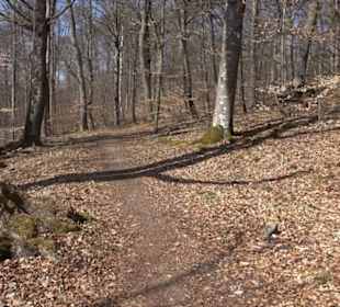 Geologischer Lehrpfad Kirnbachtal