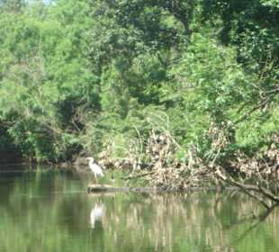 Ropotamo Naturschutzgebiet 1