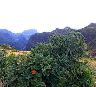 Pico do Arieiro
