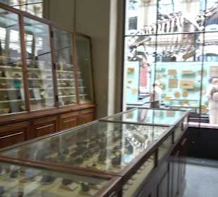 Naturkundemuseum