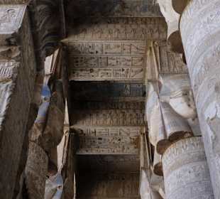 Reginas Red Sea Tours