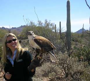 Arizona Sonora Desert Museum