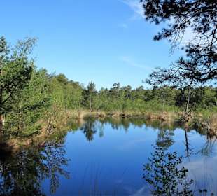 Impressionen vom Rundgang durch das Pietzmoor