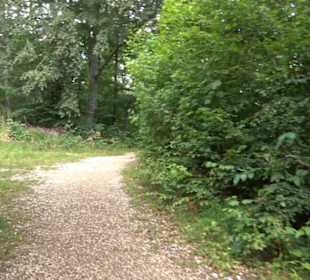 Hochgeträumt Premiumwanderung
