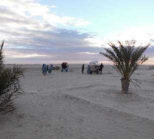Auf Kamelen dem Sonnenuntergang entgegen