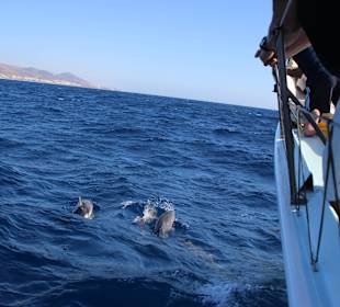 Ausflug Maxi-Power-Sailing - Delphine 