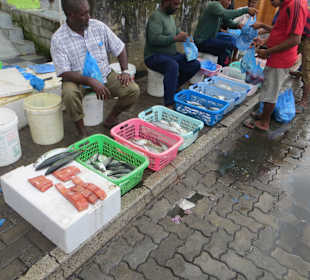 Unterwegs im einheimischen Markt 