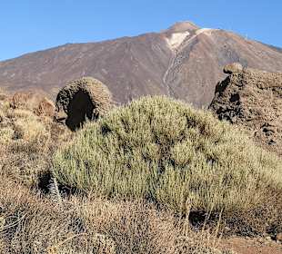 Teide Nationalpark 