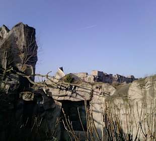 Tolle Fassaden in Naturoptik