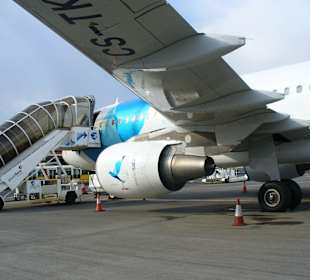 Einsteigen bei SATA/Air Acores