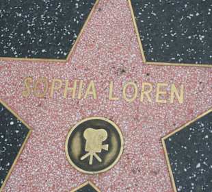 Sofia Loren la star