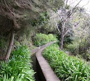 Levada-Wanderung