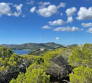 Ausblick