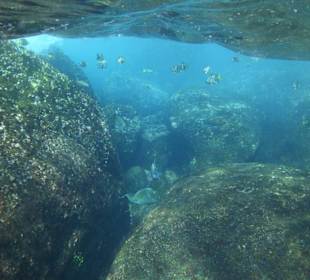 Unterwasserwelt