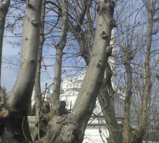 Blaue Moschee ( Sultan Ahmed )