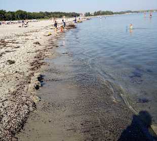 Strand Boltenhagen